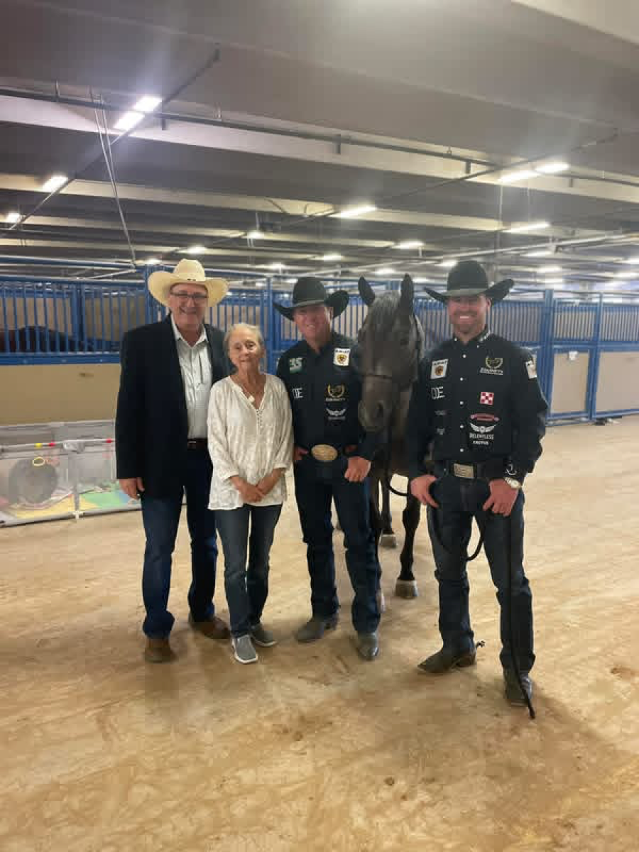 7J Ranch horses